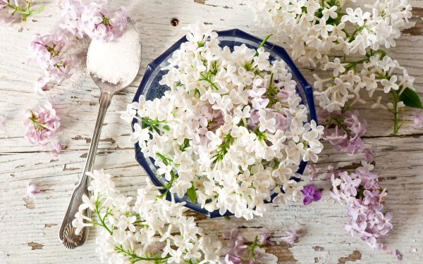 Доброе утро с цветами и пожеланиями