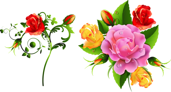 Векторные цветы на прозрачном фоне
