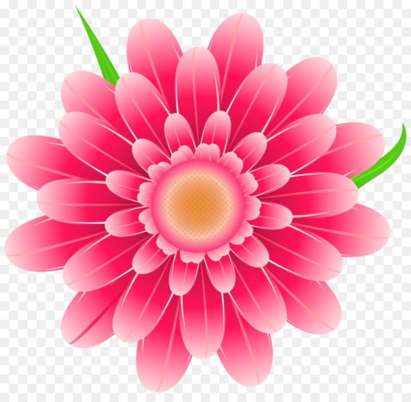 Цветы на прозрачном фоне