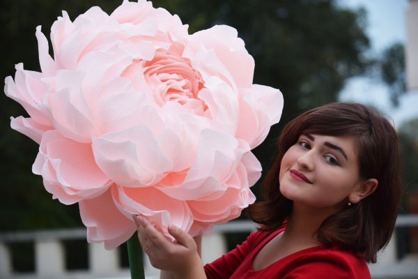 Гигантские цветы