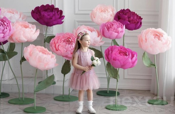 Ростовые цветы