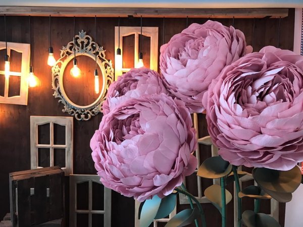 Андрей Островерхов гигантские цветы