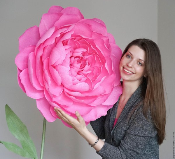 #Мастер класс- большие цветы из изолона( #фоамирана).ИДЕЯ на НОВЫЙ ГОД . Крым — Video | VK