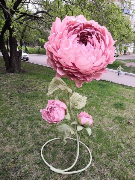 Ростовой пион изолон