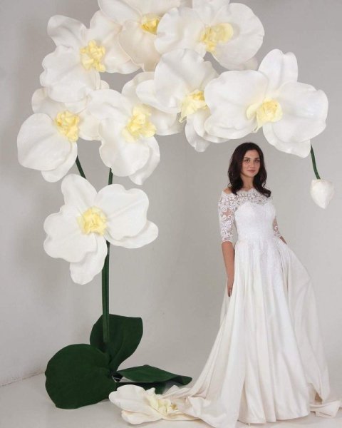 Орхидея с изолона