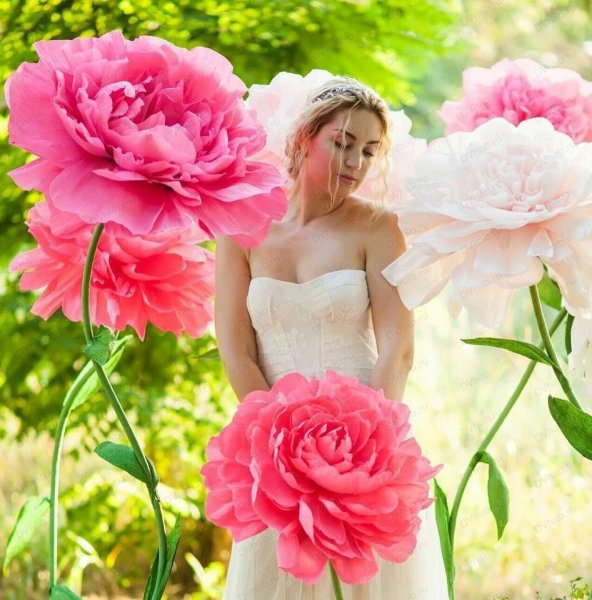 Гигантские цветы