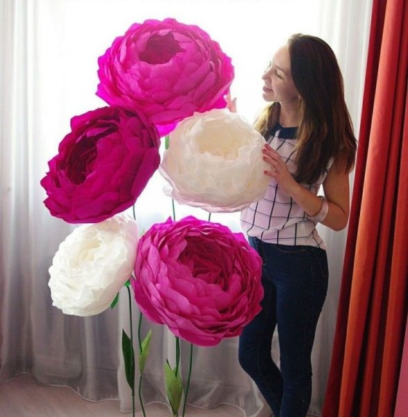 Пион изолон