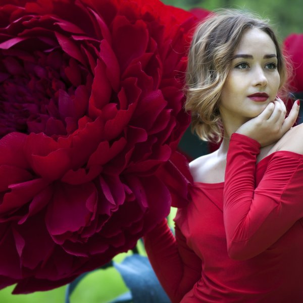 Огромные цветы