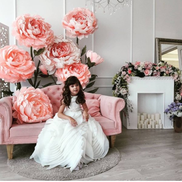 Цветы для интерьера гигантские