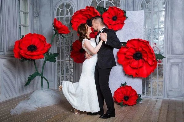 Гигантские цветы Андрея Островерхова