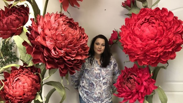 Ростовые цветы Астра