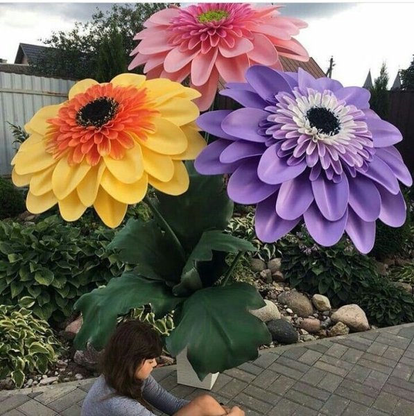 Гербера ростовая из изолона