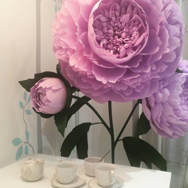 Бумажные цветы пионы