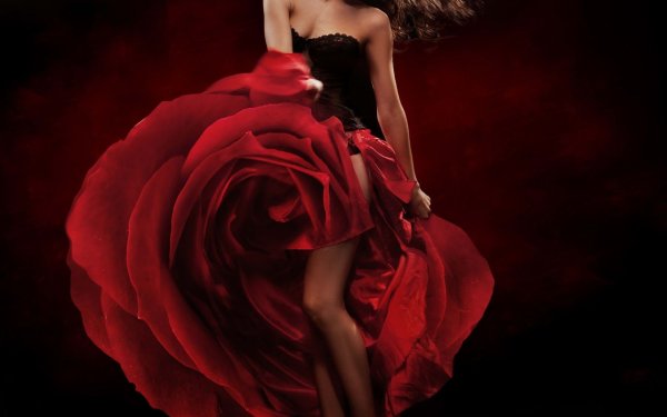 Роза фламенко