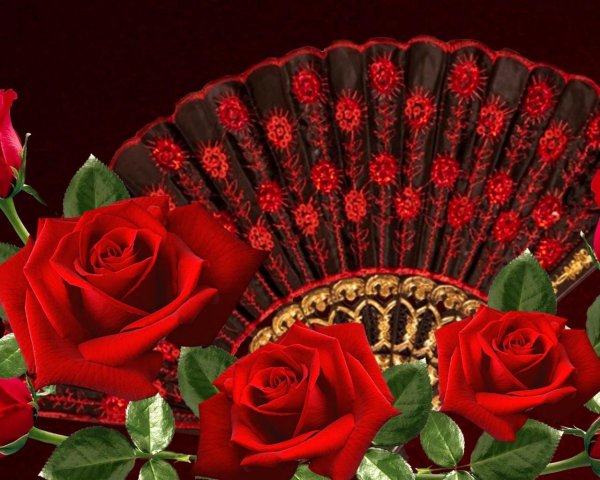 Фламенко веер роза