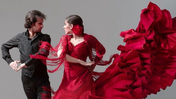 Танцовщица фламенко