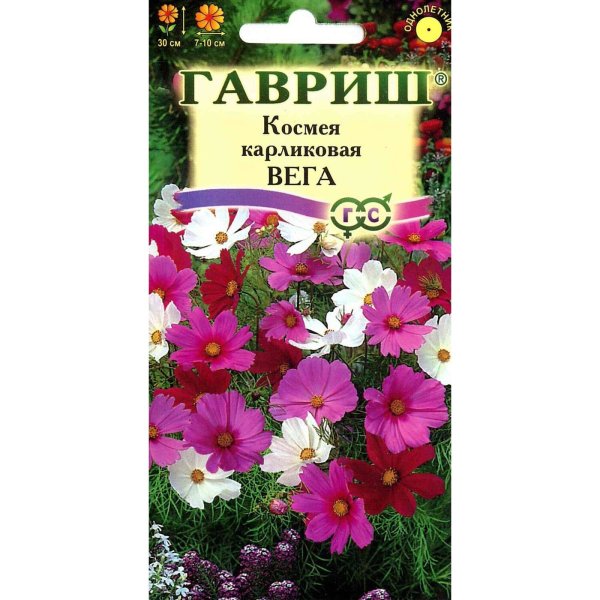 Космея Гавриш