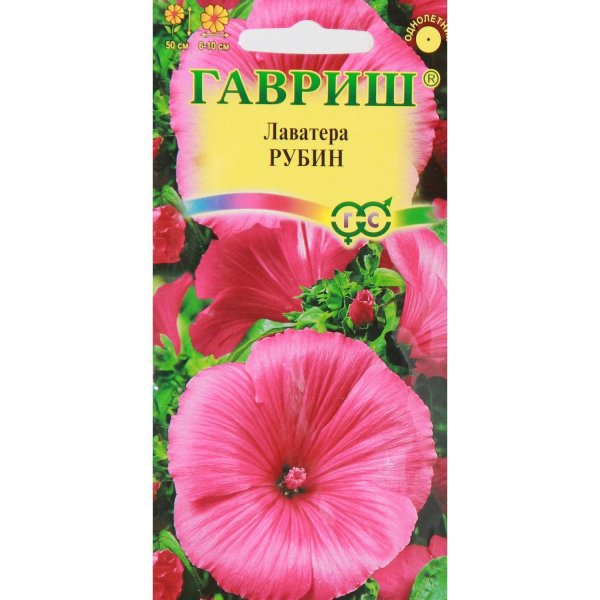 Лаватера Рубиновая
