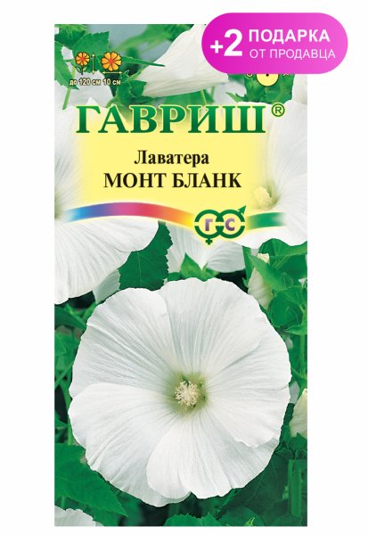 Гавриш лаватера монт бланк