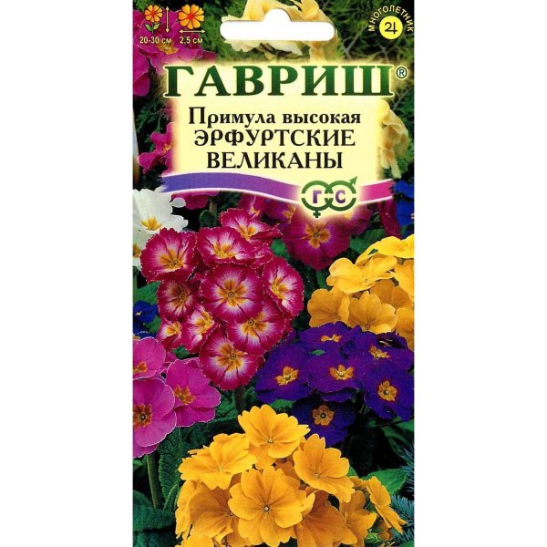 Примула Эрфуртские великаны 20шт. Гав.