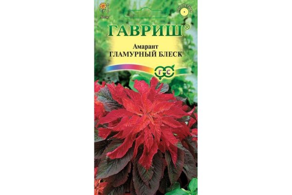 Гавриш Амарант иллюминация