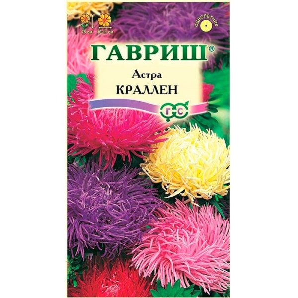 Астра коготковая смесь