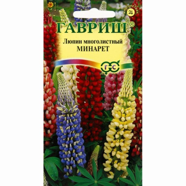 Люпин минарет Гавриш