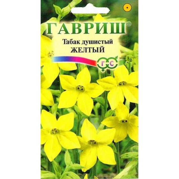 Табак желтый крылатый Гавриш