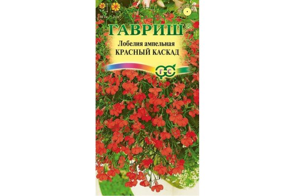 Лобелия ампельная красный Каскад