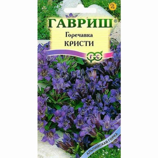 Гавриш горечавка семираздельная Кристи