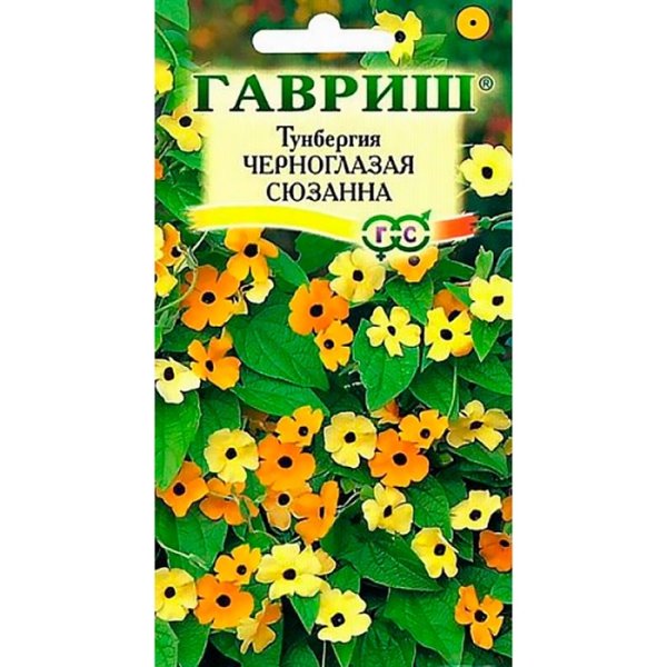 Тунбергия Черноглазая Сюзанна семена