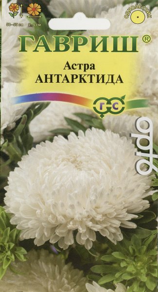 Астра Антарктида, 0,3г