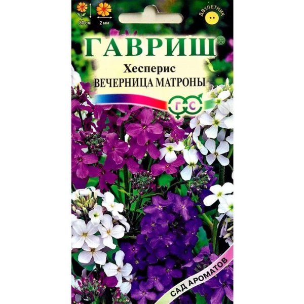 Вечерница Матроны смесь окрасок