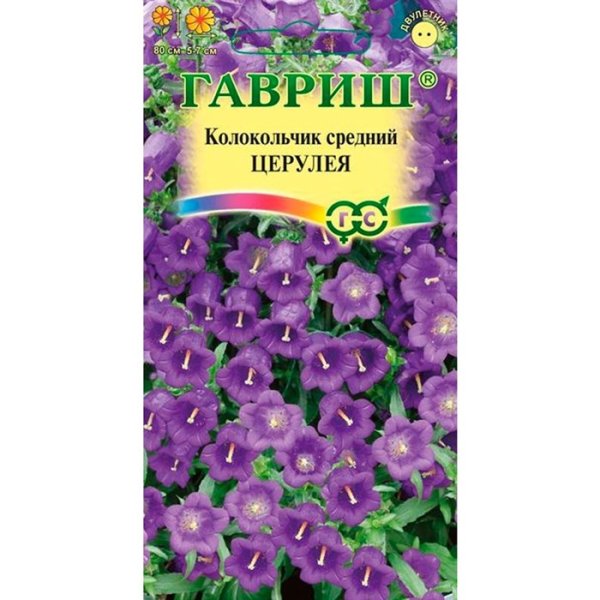 Колокольчик Церулея средний 0,1 г (Гавриш)