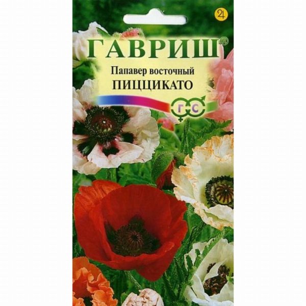 Папавер Пиццикато