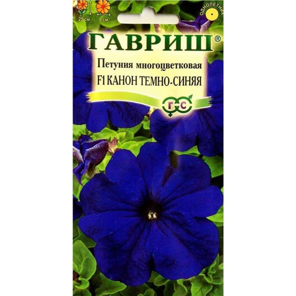 Петуния f1 канон темно-синяя многоцветковая