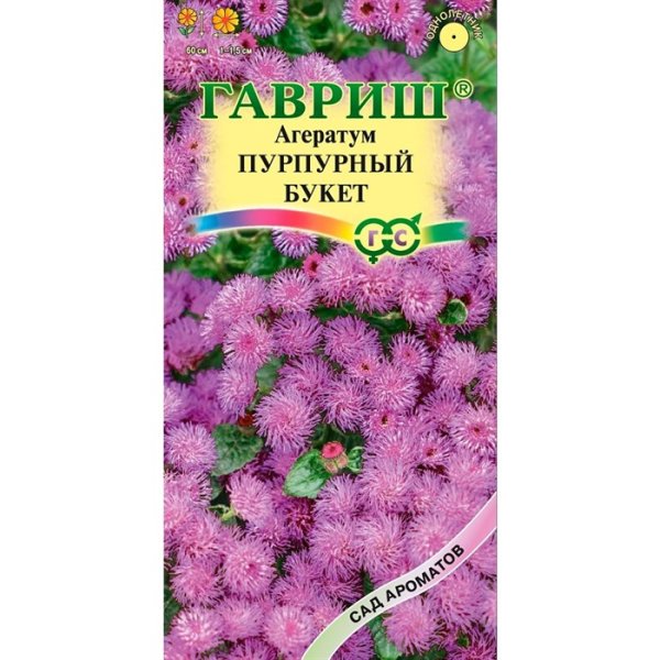 Агератум Лавандовые грезы