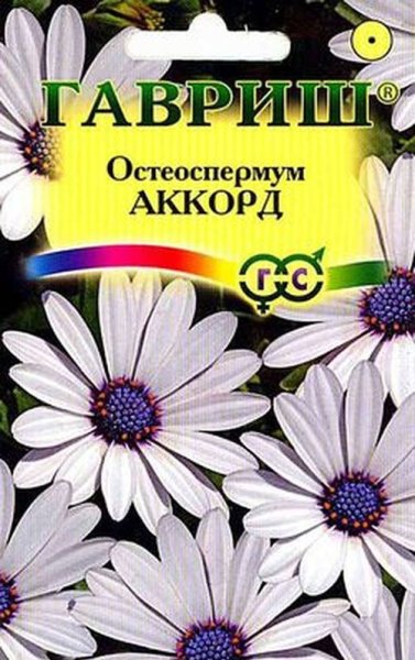 Остеоспермум Баллада,смесь сортов