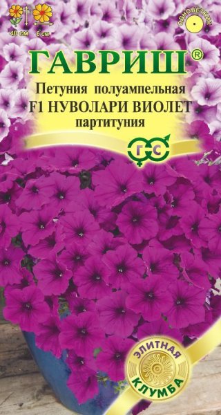 Петуния Нуволари Виолет f1