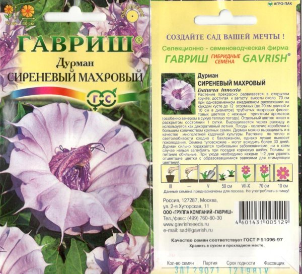 Дурман сиреневый махровый