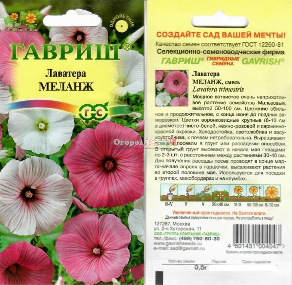 Лаватера меланж смесь