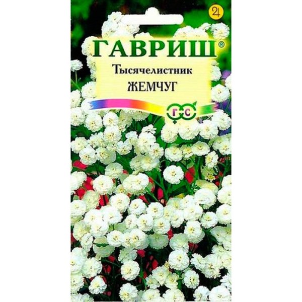 Гавриш тысячелистник жемчуг