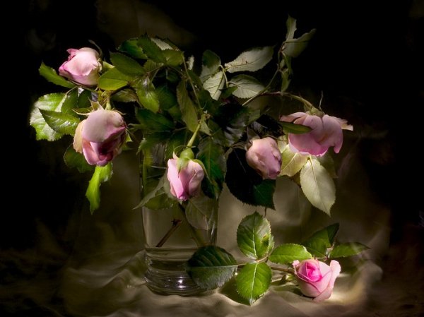 Добрый ночи или доброй ночи