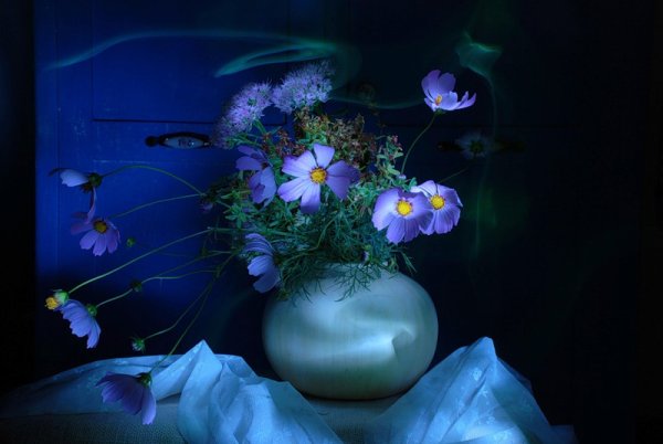 Цветы с пожеланием спокойной ночи