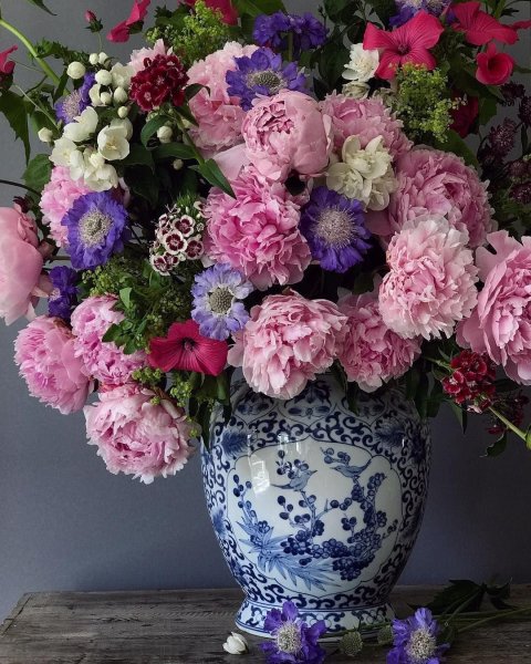 Красивые цветы