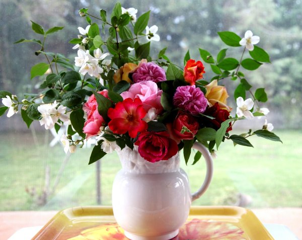 Жасмин цветок букет