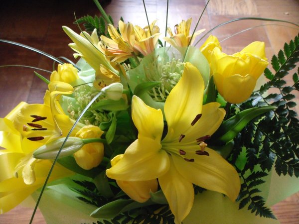 Травянистая Лилия