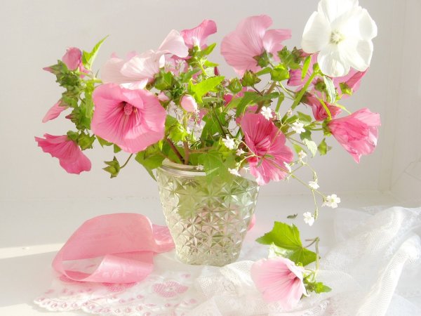 Нежный цветок