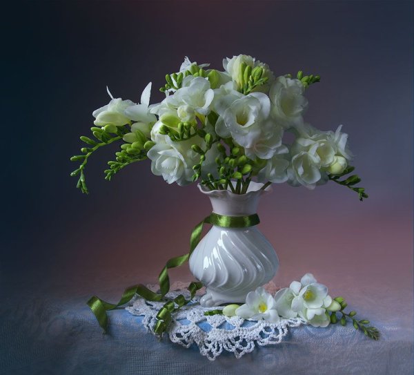 Фотограф Людмила Костюченко