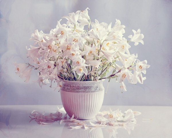 Весенние натюрморты Валентины Корибут